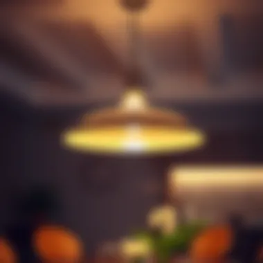 Magnificent Determining the Optimal Height for Pendant Lighting Magnificent Determining the Optimal Height for Pendant Lighting
