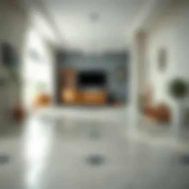 Magnificent Effective Methods for Cleaning Tile Floors Magnificent Effective Methods for Cleaning Tile Floors