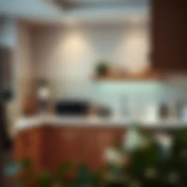 Magnificent Effective Methods for Removing Oil Stains from Kitchen Walls Magnificent Effective Methods for Removing Oil Stains from Kitchen Walls