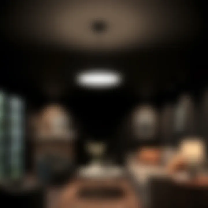 Magnificent Exploring Black Basement Ceiling Lights