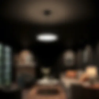 Magnificent Exploring Black Basement Ceiling Lights Magnificent Exploring Black Basement Ceiling Lights