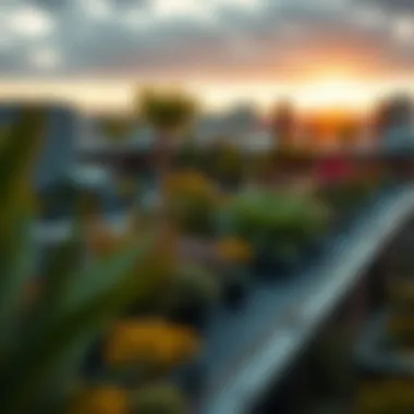 Magnificent Exploring Roof Landscaping: A Comprehensive Guide Magnificent Exploring Roof Landscaping: A Comprehensive Guide