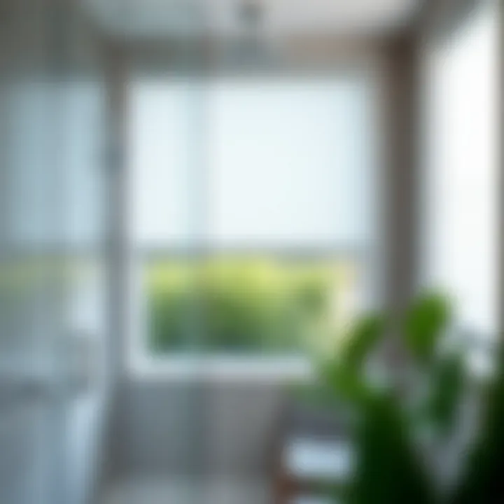 Magnificent Water Resistant Blinds for Shower Windows