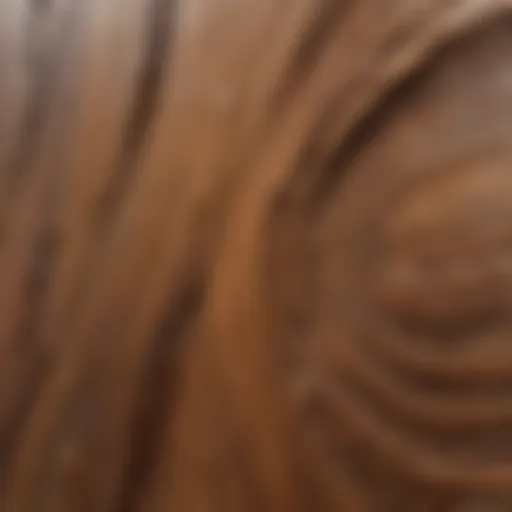 Close-up of wood grain showcasing natural texture