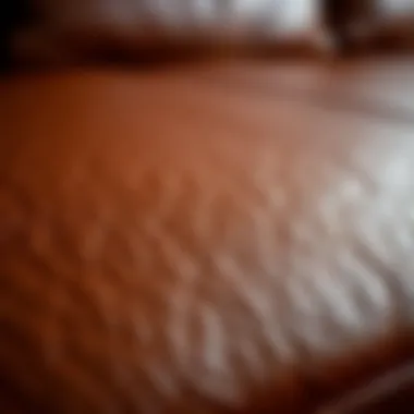 Close-up of leather texture showcasing its natural grains