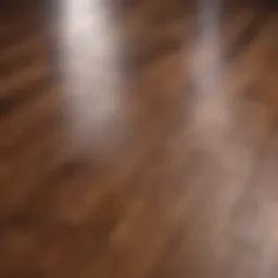 Beautiful hardwood floor showcasing rich grain patterns