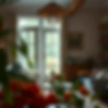 Affordable Country Home Decorations: A Guide to Budget-Friendly Aesthetics Summary Affordable Country Home Decorations: A Guide to Budget-Friendly Aesthetics Summary