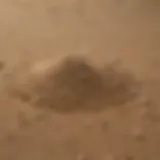 A close-up view of all-purpose sand showcasing its texture and granularity.