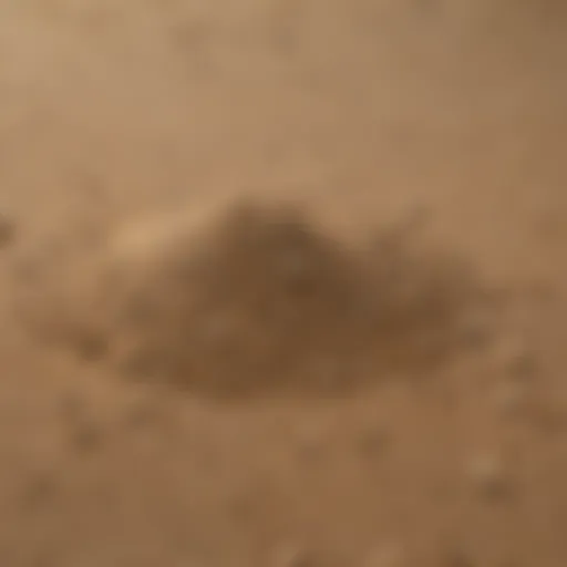 A close-up view of all-purpose sand showcasing its texture and granularity.