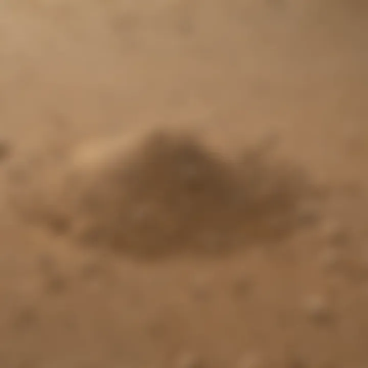 A close-up view of all-purpose sand showcasing its texture and granularity.