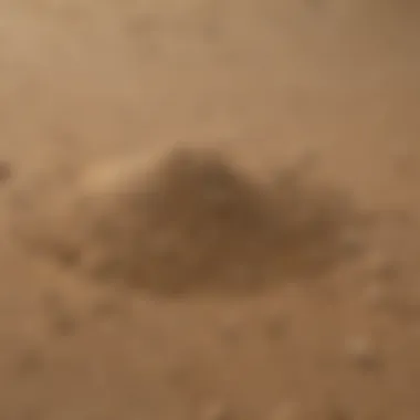 Texture of All-Purpose Sand A close-up view of all-purpose sand showcasing its texture and granularity.