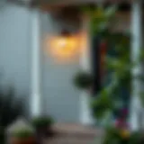 An In-Depth Examination of Exterior House Paint: Importance and Techniques Introduction