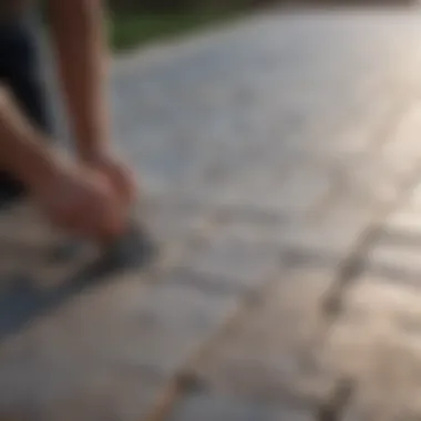 Application of baking soda on paver stones