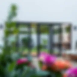 Elegant sliding patio doors integrating nature with modern design