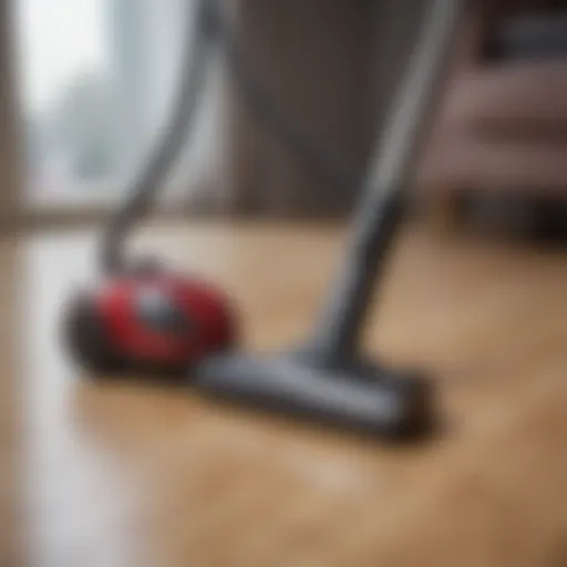 A powerful vacuum cleaner designed for pet hair removal