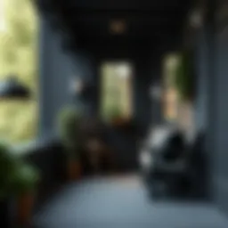 Black Paint for Porch: Exploring the Aesthetic and Functional Aspects Introduction