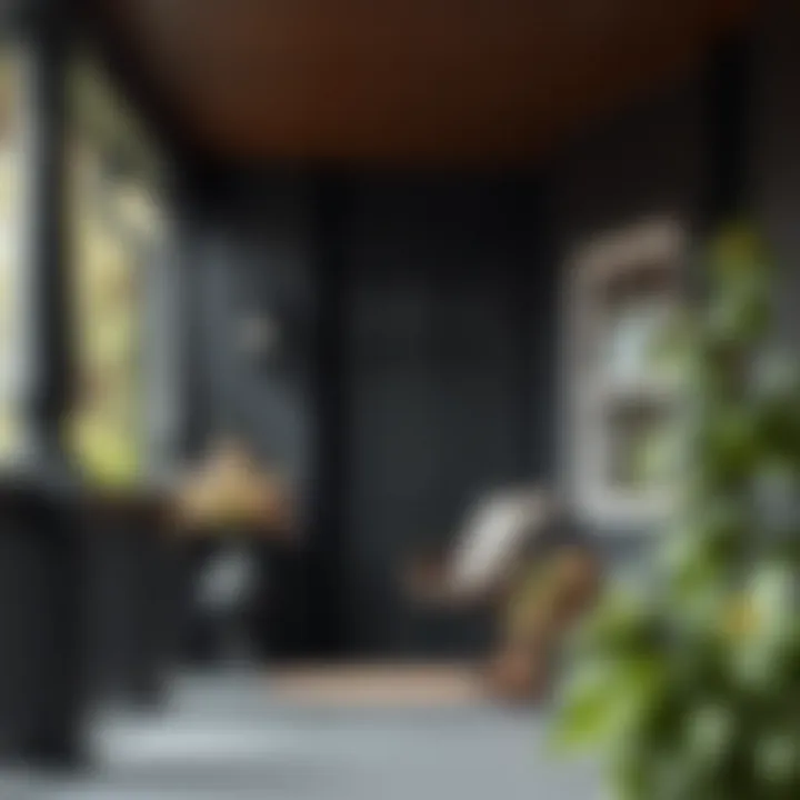 Notable Black Paint for Porch: Exploring the Aesthetic and Functional Aspects