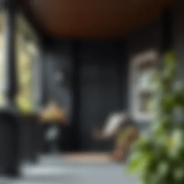 Notable Black Paint for Porch: Exploring the Aesthetic and Functional Aspects Notable Black Paint for Porch: Exploring the Aesthetic and Functional Aspects