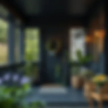 Black Paint for Porch: Exploring the Aesthetic and Functional Aspects Summary Black Paint for Porch: Exploring the Aesthetic and Functional Aspects Summary