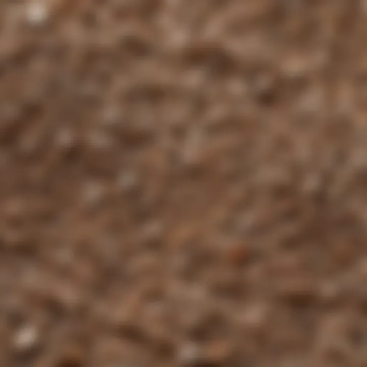 Close-up view of Burpee vermiculite showcasing its texture and color