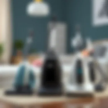 Variety of Steam Cleaners Different steam cleaner models