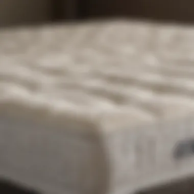 Top-rated plush mattress toppers arranged for comparison.