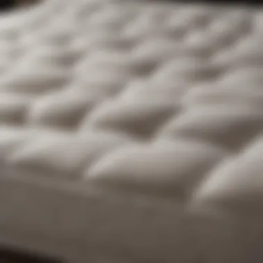 Elegant plush mattress topper showcasing its soft texture and comfort.