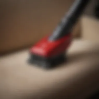 Specialized Brush for Pet Hair Close-up of a vacuum brush designed specifically for pet hair removal on upholstery