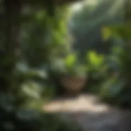 Lush garden featuring elephant ears and companion plants