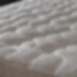 A variety of mattress covers showcasing different types and materials