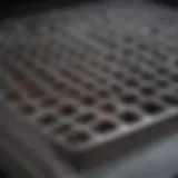 Close-up of a beautifully cleaned stove top grate