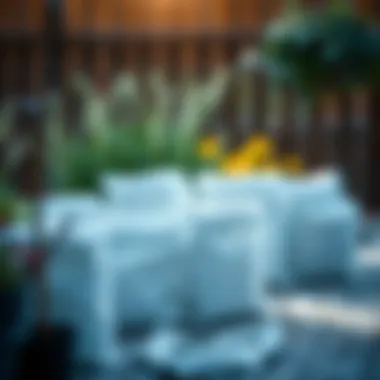 Comprehensive Guide to Frost Protection Bags: An Essential Tool for Gardeners Introduction Comprehensive Guide to Frost Protection Bags: An Essential Tool for Gardeners Introduction