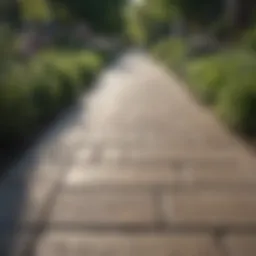 A well-maintained paver pathway devoid of weeds