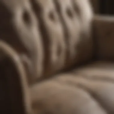 Upholstery Materials for Sofa Repair Detailed examination of upholstery materials for sofa repair