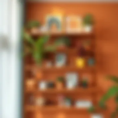 Colorful Shelf Display Colorful shelf display with plants and art pieces