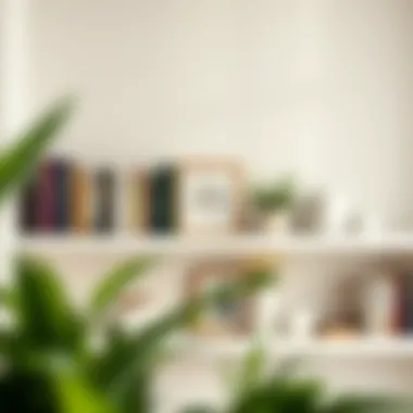 Elegant Shelf Arrangement Elegant shelf arrangement with books and decorative items