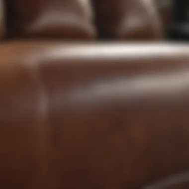 Stain Removal Technique on Leather Couch Close-up of a leather couch showing a stain removal technique