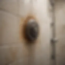 Mold growth on shower tiles