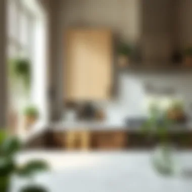 Effective Methods for Removing Oil Stains from Kitchen Walls Introduction