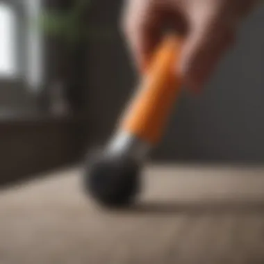 Using a Pet Hair Removal Brush Pet hair removal brush on a garment