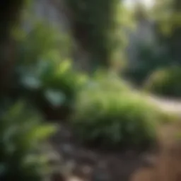 A lush garden showcasing healthy plants protected from pests