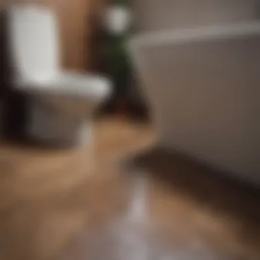Before and After Stain Removal Before and after toilet stain removal