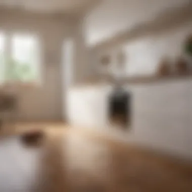 A clean and organized kitchen area free from cockroaches