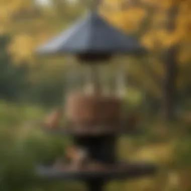Innovative Feeder Designs to Prevent Squirrel Access Squirrel-proof bird feeder design
