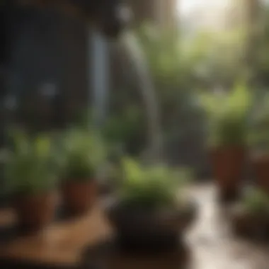 Natural Watering Methods to Sustain Your Plants Natural methods for plant watering, such as using a bottle