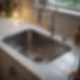 Sparkling clean kitchen sink disposal