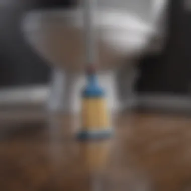 Cleaning Tools for Toilet Stains Essential cleaning tools for removing toilet stains