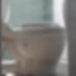 Close-up of hard water stains inside a toilet bowl