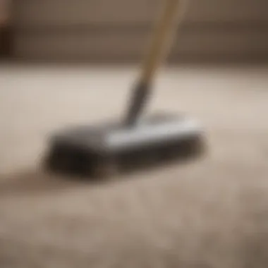 Specialized Pet Brush for Carpet Care A pet-friendly brush designed for removing hair from carpets
