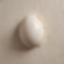 Close-up of an eggshell finish on a wall showcasing its soft sheen.